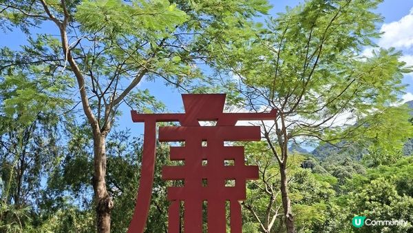 深圳坪山區田頭山【頭陂公園•有水玩💦粉黛草，落雨杉👍】