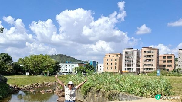 深圳坪山區田頭山【頭陂公園•有水玩💦粉黛草，落雨杉👍】