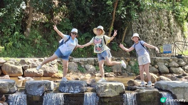 深圳坪山區田頭山【頭陂公園•有水玩💦粉黛草，落雨杉👍】