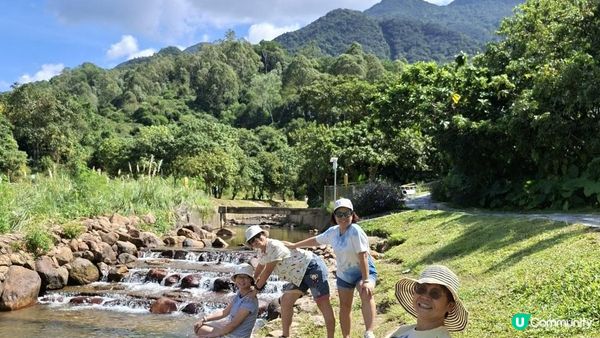 深圳坪山區田頭山【頭陂公園•有水玩💦粉黛草，落雨杉👍】