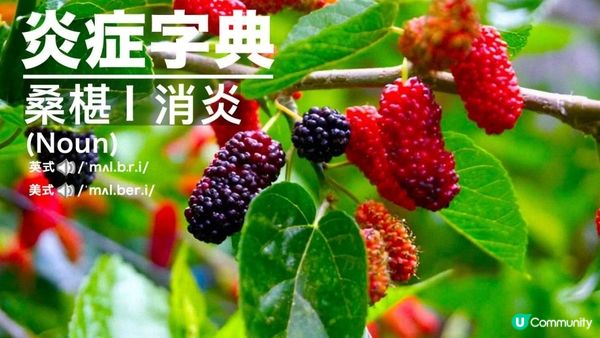 #中西醫都當寶 🫐水果界的奧斯卡