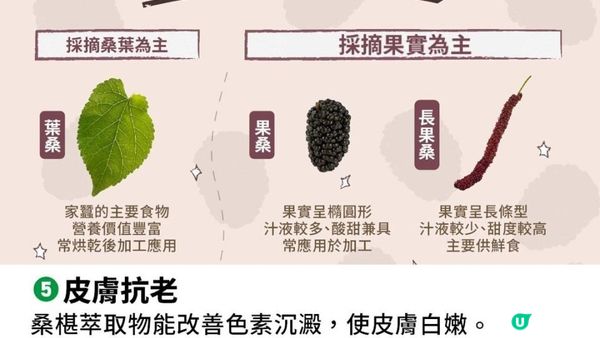 #中西醫都當寶 🫐水果界的奧斯卡