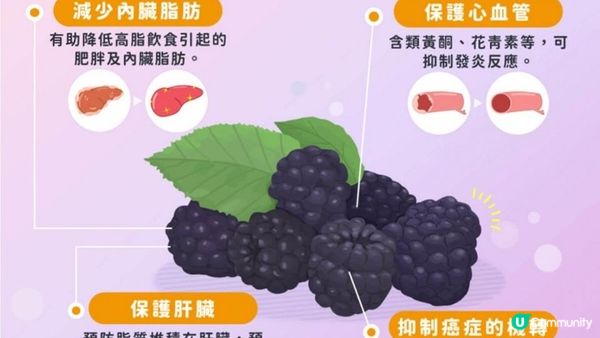 #中西醫都當寶 🫐水果界的奧斯卡