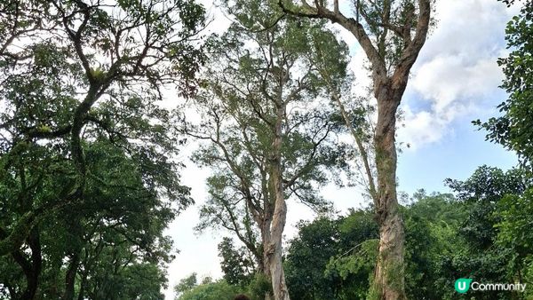 【西貢北港至三星灣行山➕️綑邊遊】白馬咀，麻藍笏