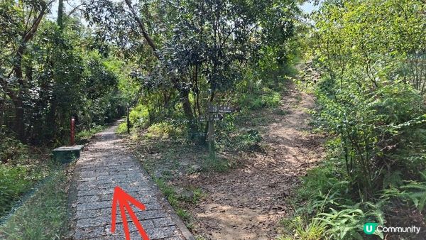 【西貢北港至三星灣行山➕️綑邊遊】白馬咀，麻藍笏