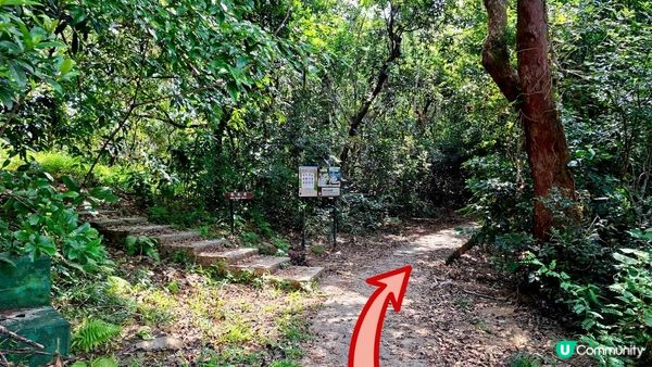 【西貢北港至三星灣行山➕️綑邊遊】白馬咀，麻藍笏