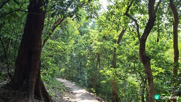 【西貢北港至三星灣行山➕️綑邊遊】白馬咀，麻藍笏