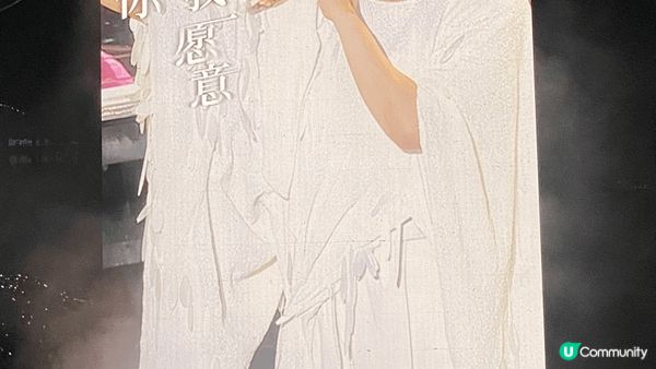 佛山世紀蓮體育館 林憶蓮 迴響演唱會