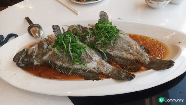 #啖啖舒暢透心涼--稻香蒸魚大眾化路線，定價以經濟實惠、物超...