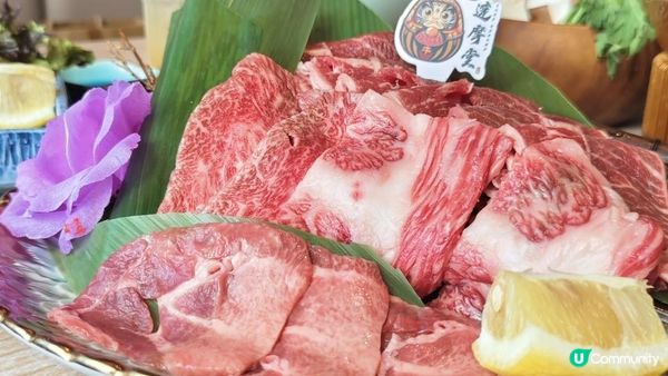 【生日儀式拉滿 の 旺角達摩屋】