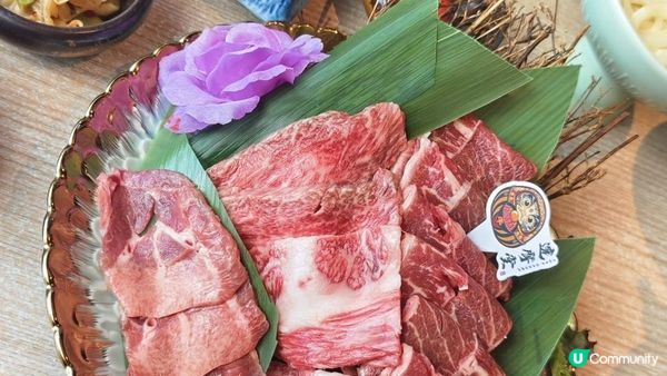 【生日儀式拉滿 の 旺角達摩屋】