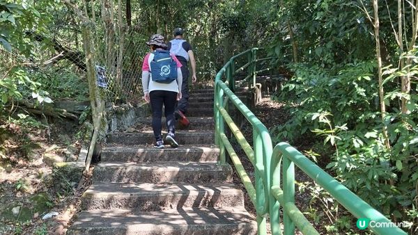 【吉澳冷門行山路線】橫排路、山海亭、雞公嶺、高棚頂、澳背塘徑