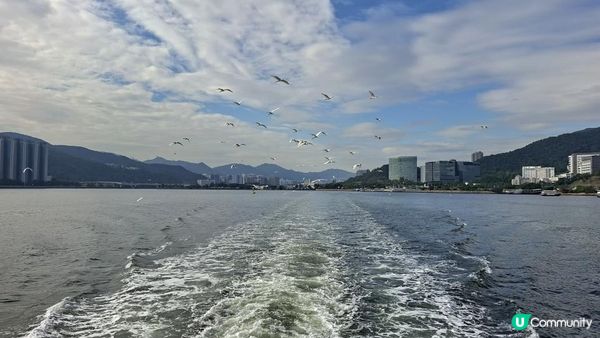 【吉澳冷門行山路線】橫排路、山海亭、雞公嶺、高棚頂、澳背塘徑