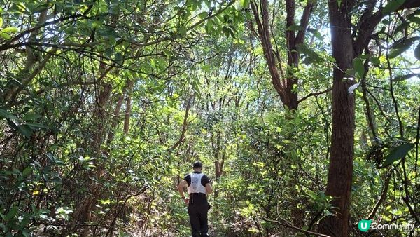 【吉澳冷門行山路線】橫排路、山海亭、雞公嶺、高棚頂、澳背塘徑