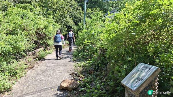 【吉澳冷門行山路線】橫排路、山海亭、雞公嶺、高棚頂、澳背塘徑