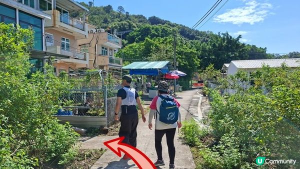 【吉澳冷門行山路線】橫排路、山海亭、雞公嶺、高棚頂、澳背塘徑