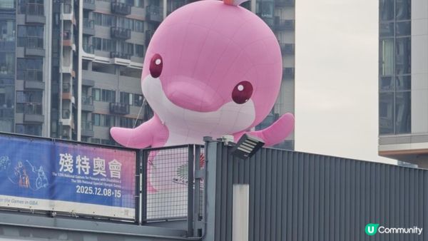 跟住Travel Buddy本地遊 - 啟德體育園 全運會吉祥物逐個捉