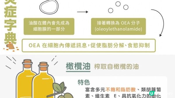 圖文破解🫒橄欖油選購指南 #要揀低於0.8%