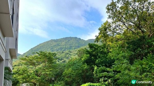 【愉景灣時峰至白芒行山篇】老虎頭觀景台、老虎頭郊遊徑、田寮頂、御筆石林
