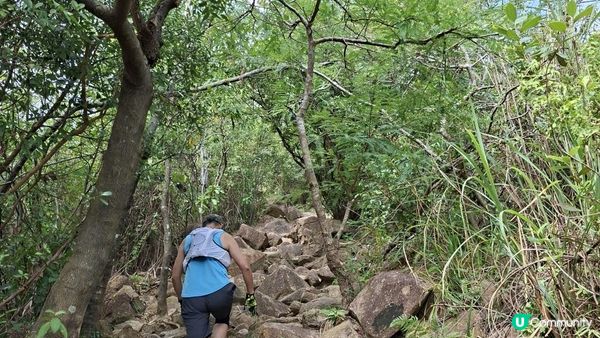 【愉景灣時峰至白芒行山篇】老虎頭觀景台、老虎頭郊遊徑、田寮頂、御筆石林