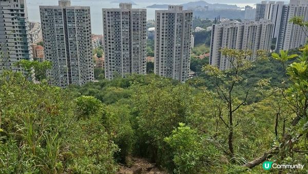 【愉景灣時峰至白芒行山篇】老虎頭觀景台、老虎頭郊遊徑、田寮頂、御筆石林