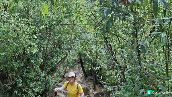 【愉景灣時峰至白芒行山篇】老虎頭觀景台、老虎頭郊遊徑、田寮頂、御筆石林