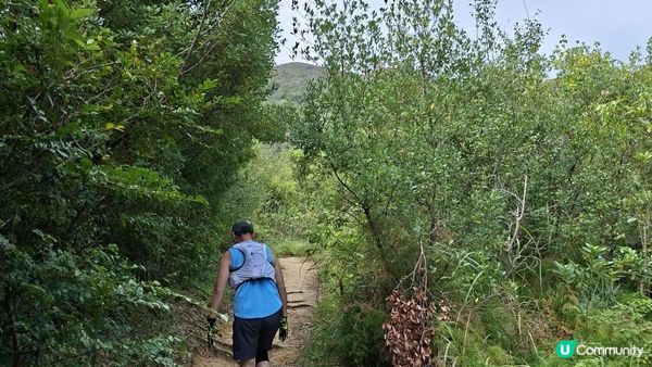 【愉景灣時峰至白芒行山篇】老虎頭觀景台、老虎頭郊遊徑、田寮頂、御筆石林