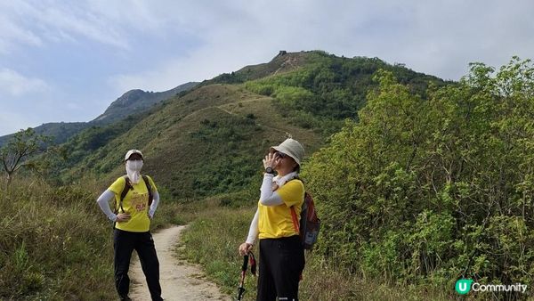 【愉景灣時峰至白芒行山篇】老虎頭觀景台、老虎頭郊遊徑、田寮頂、御筆石林