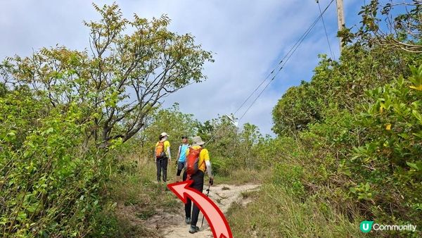 【愉景灣時峰至白芒行山篇】老虎頭觀景台、老虎頭郊遊徑、田寮頂、御筆石林