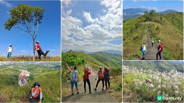 【上水華山軍路行山篇】➕️ 雲泉仙館齋菜😋