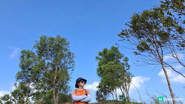 【上水華山軍路行山篇】➕️ 雲泉仙館齋菜😋