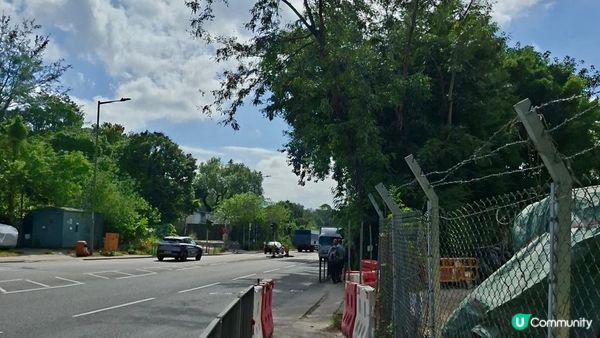 【上水華山軍路行山篇】➕️ 雲泉仙館齋菜😋