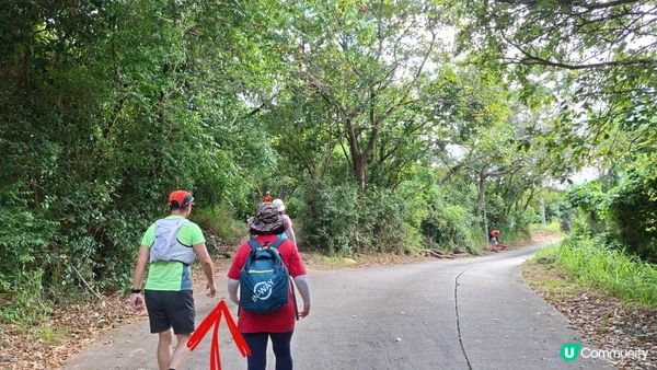 【上水華山軍路行山篇】➕️ 雲泉仙館齋菜😋