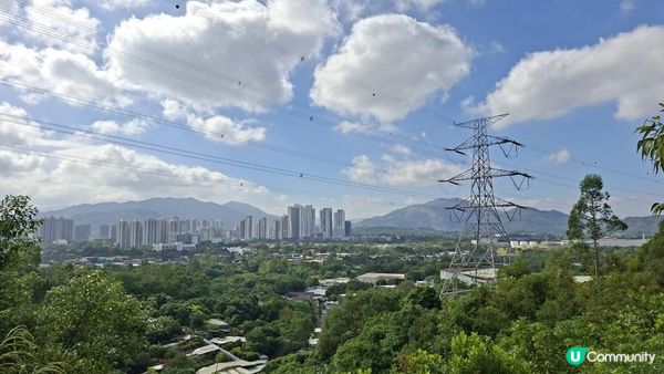 【上水華山軍路行山篇】➕️ 雲泉仙館齋菜😋