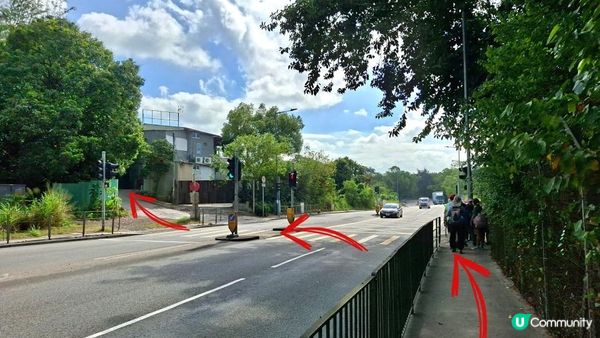 【上水華山軍路行山篇】➕️ 雲泉仙館齋菜😋