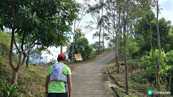 【上水華山軍路行山篇】➕️ 雲泉仙館齋菜😋