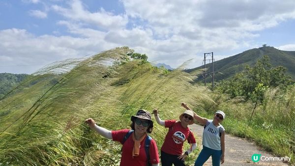 【上水華山軍路行山篇】➕️ 雲泉仙館齋菜😋