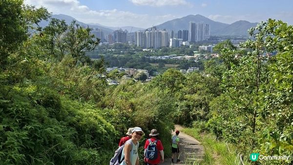 【上水華山軍路行山篇】➕️ 雲泉仙館齋菜😋