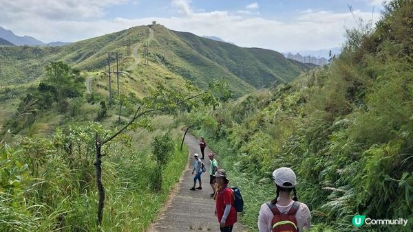 【上水華山軍路行山篇】➕️ 雲泉仙館齋菜😋