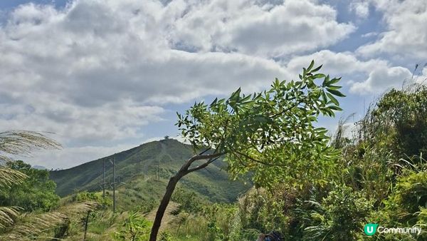 【上水華山軍路行山篇】➕️ 雲泉仙館齋菜😋