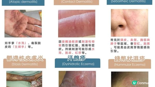 真・還原靚靚拳🍵 #四神粉