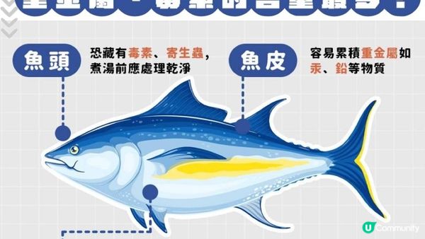 重金屬排行榜🐟魚頭 > 魚皮 > 魚肉 > 魚子