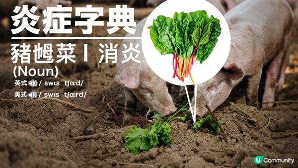 【#排第7】列入英國BBC全球100大健康食物