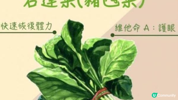 【#排第7】列入英國BBC全球100大健康食物