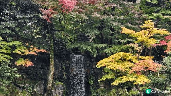 日本金澤嘅兼六園係一個旅遊地方 出名係因為佢有好多雪 吊 係...
