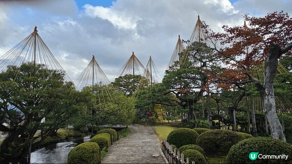 日本金澤嘅兼六園係一個旅遊地方 出名係因為佢有好多雪 吊 係...