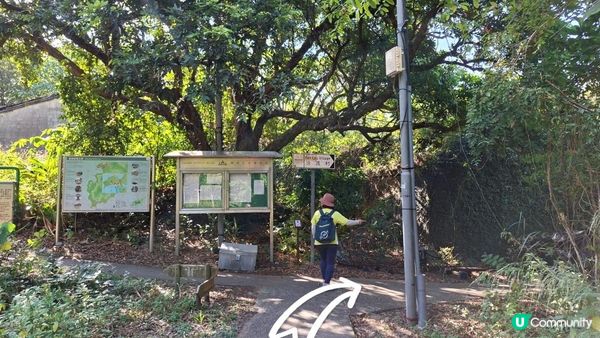 【大嶼山分流西灣至石壁行山篇】石圓環、分流炮台、南層樓、石筍、狗嶺、狗嶺涌觀景台、嶼南界碑石