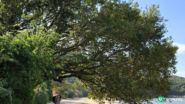 【大嶼山分流西灣至石壁行山篇】石圓環、分流炮台、南層樓、石筍、狗嶺、狗嶺涌觀景台、嶼南界碑石