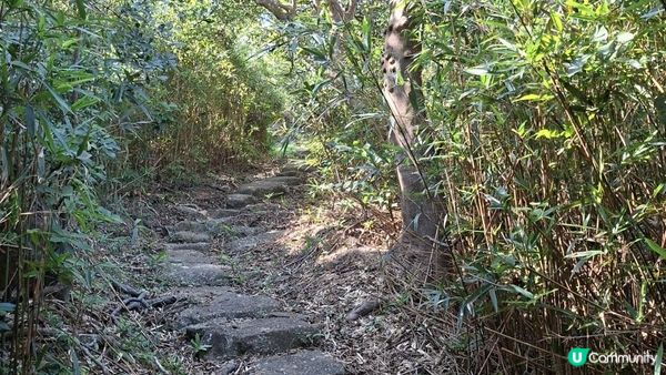 【大嶼山分流西灣至石壁行山篇】石圓環、分流炮台、南層樓、石筍、狗嶺、狗嶺涌觀景台、嶼南界碑石