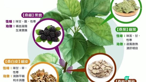 每日1杯🍵 #糖尿剋星